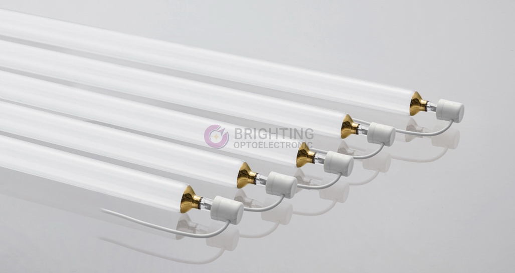 Gas discharge lamp